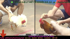 Anh man hinh 2024 05 30 luc 6.46.59 CH 1